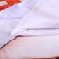 Rozemyne_Bunny_Detail_1