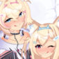 fwmc_thumbnail_1